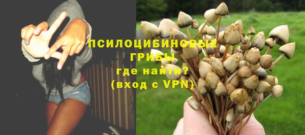 spice Зерноград