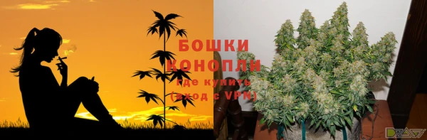 spice Зерноград