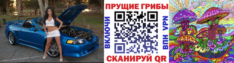 Галлюциногенные грибы Psilocybine cubensis  Калтан 